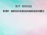 2025版新教材高中生物第4章免疫调节第2节特异性免疫第2课时细胞免疫及体液免疫和细胞免疫的协调配合课件新人教版选择性必修1