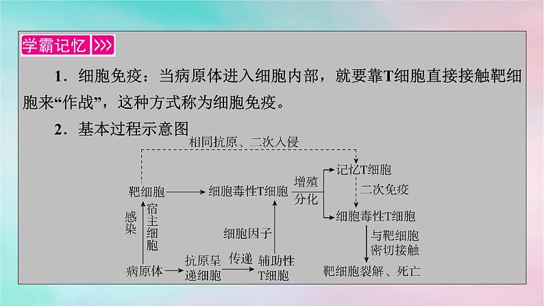 2025版新教材高中生物第4章免疫调节第2节特异性免疫第2课时细胞免疫及体液免疫和细胞免疫的协调配合课件新人教版选择性必修1第3页