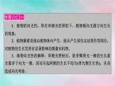 2025版新教材高中生物第5章植物生命活动的调节第1节植物生长素第1课时生长素的发现过程课件新人教版选择性必修1