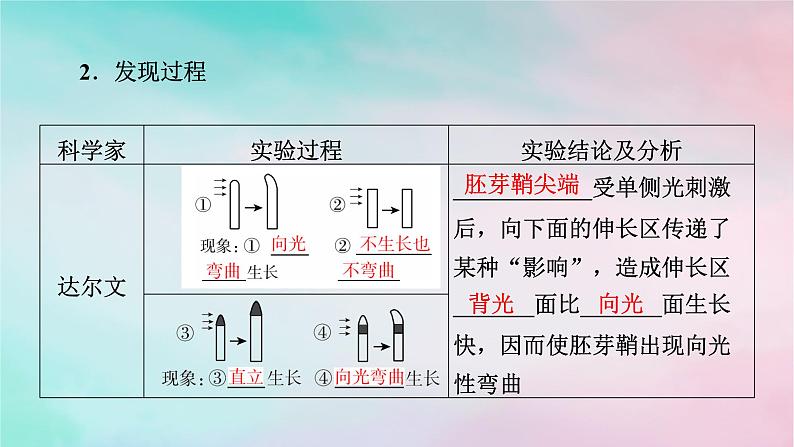 2025版新教材高中生物第5章植物生命活动的调节第1节植物生长素第1课时生长素的发现过程课件新人教版选择性必修1第5页