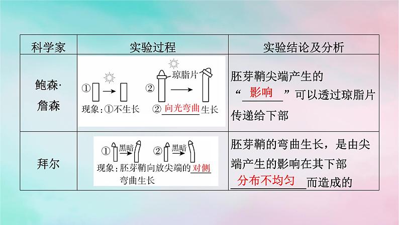 2025版新教材高中生物第5章植物生命活动的调节第1节植物生长素第1课时生长素的发现过程课件新人教版选择性必修1第6页