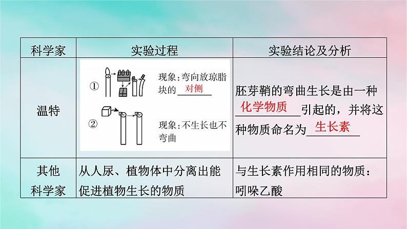 2025版新教材高中生物第5章植物生命活动的调节第1节植物生长素第1课时生长素的发现过程课件新人教版选择性必修1第7页