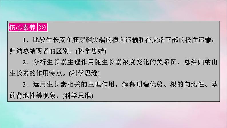 2025版新教材高中生物第5章植物生命活动的调节第1节植物生长素第2课时生长素的合成运输分布和生理作用课件新人教版选择性必修1第2页