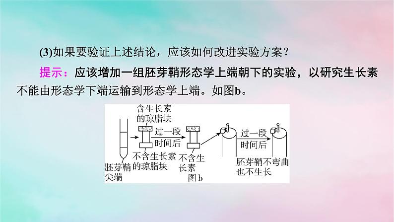 2025版新教材高中生物第5章植物生命活动的调节第1节植物生长素第2课时生长素的合成运输分布和生理作用课件新人教版选择性必修1第8页