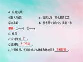 2025版新教材高中生物第5章植物生命活动的调节第3节植物生长调节剂的应用课件新人教版选择性必修1