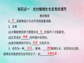 2025版新教材高中生物第5章植物生命活动的调节第4节环境因素参与调节植物的生命活动课件新人教版选择性必修1