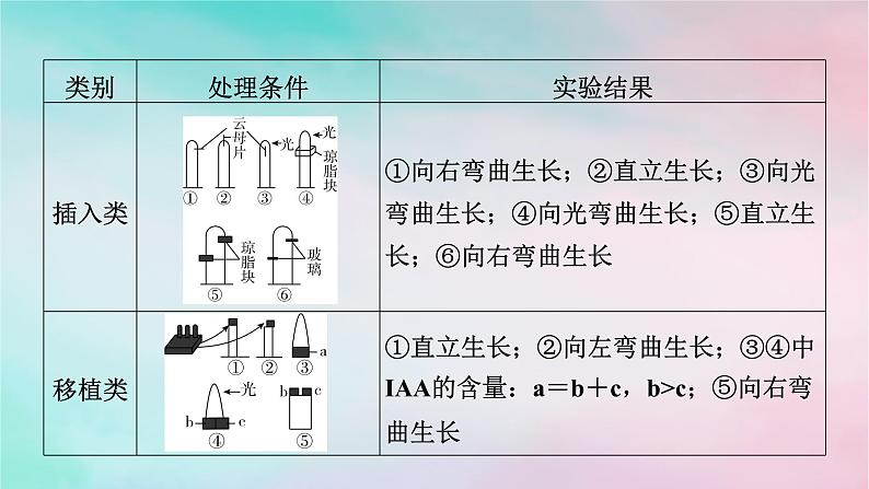 2025版新教材高中生物第5章植物生命活动的调节微专题3胚芽鞘生长情况分析和生长素相关的实验设计课件新人教版选择性必修103