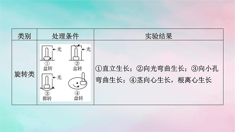 2025版新教材高中生物第5章植物生命活动的调节微专题3胚芽鞘生长情况分析和生长素相关的实验设计课件新人教版选择性必修104