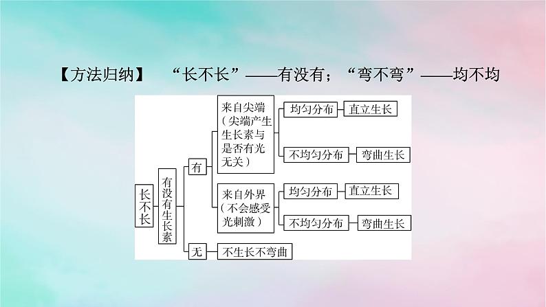 2025版新教材高中生物第5章植物生命活动的调节微专题3胚芽鞘生长情况分析和生长素相关的实验设计课件新人教版选择性必修105