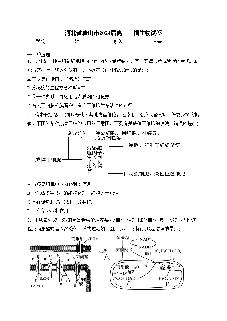 河北省唐山市2024届高三一模生物试卷(含答案)第1页