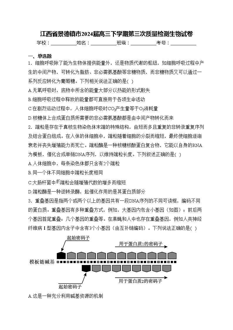 江西省景德镇市2024届高三下学期第三次质量检测生物试卷(含答案)01
