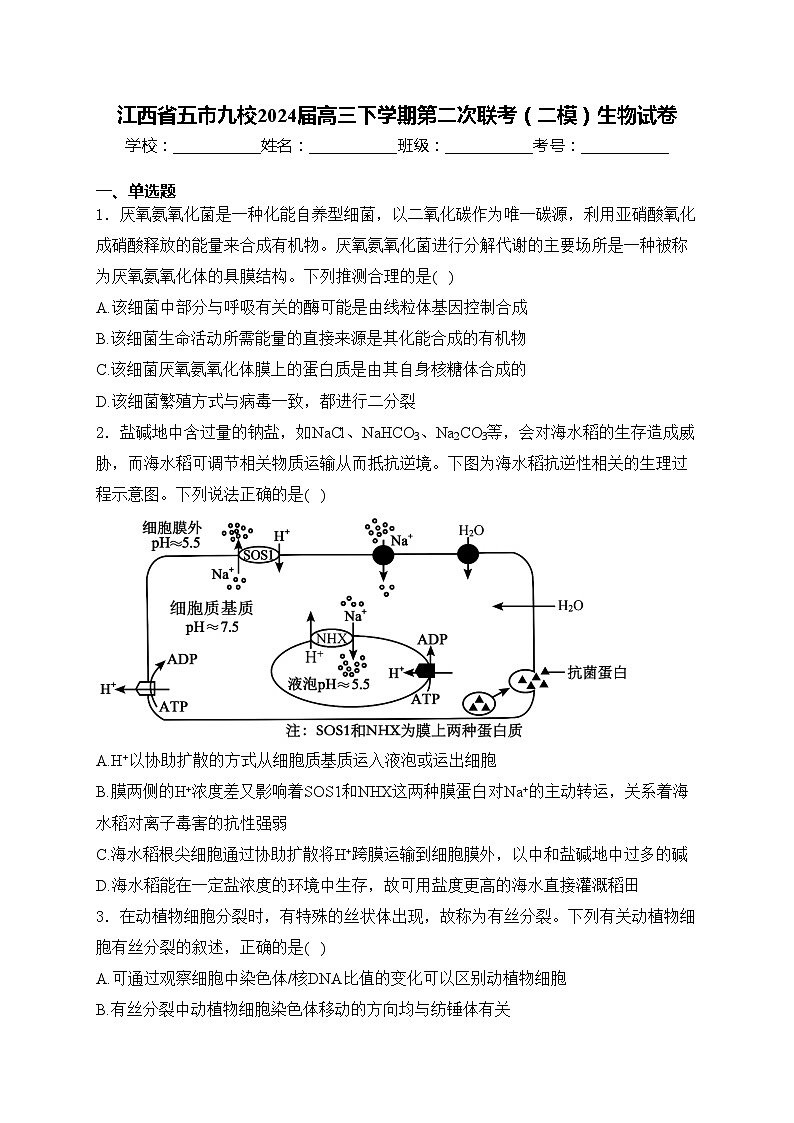 江西省五市九校2024届高三下学期第二次联考（二模）生物试卷(含答案)01