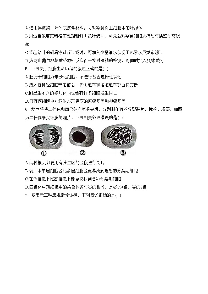 辽宁省2024届高三下学期第一次模拟考试生物试卷(含答案)02