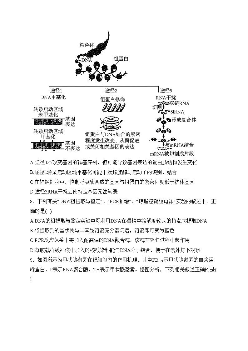 辽宁省2024届高三下学期第一次模拟考试生物试卷(含答案)03