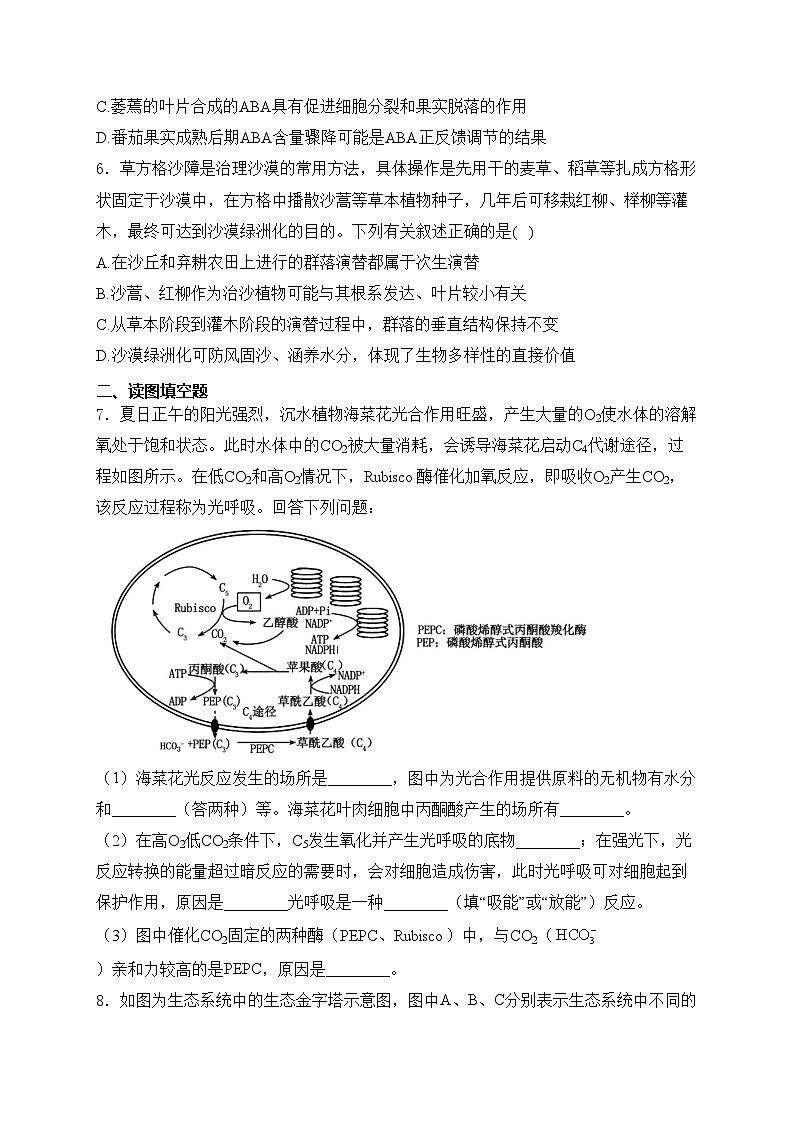 青海省西宁市大通县2024届高三下学期二模考试生物试卷(含答案)02