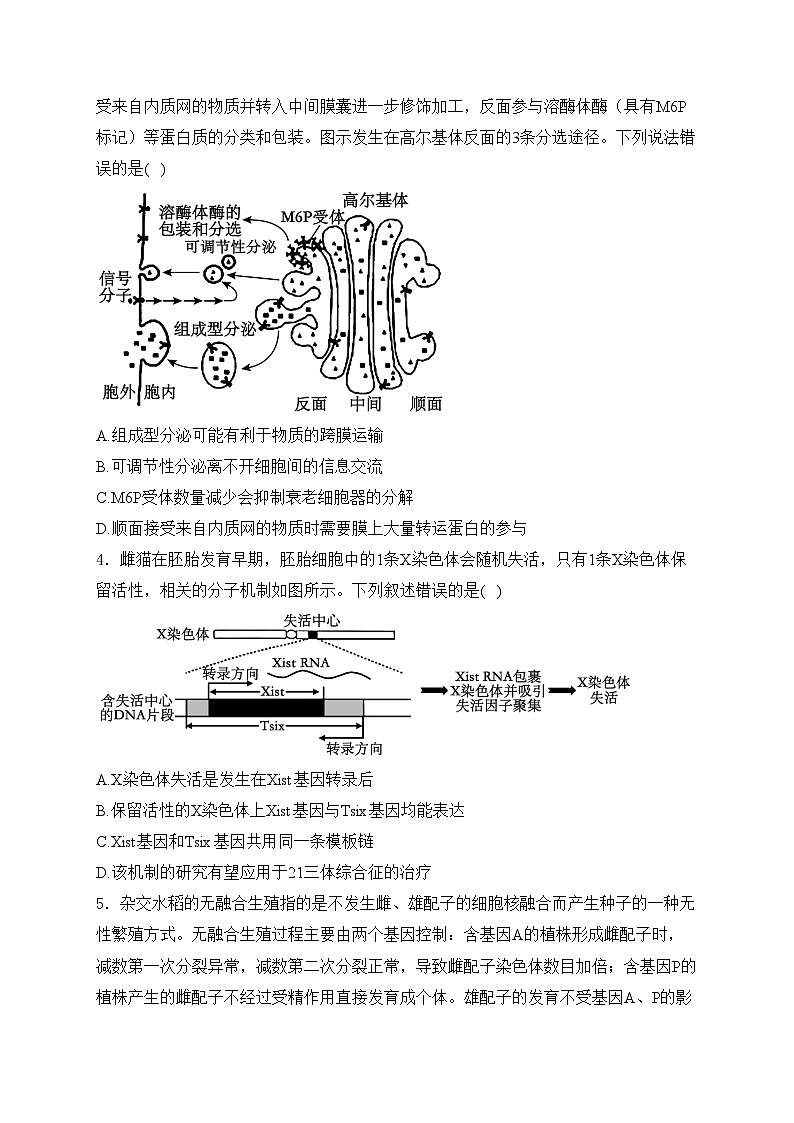 山东省泰安市2024届高三下学期4月二模考试生物试卷(含答案)第2页