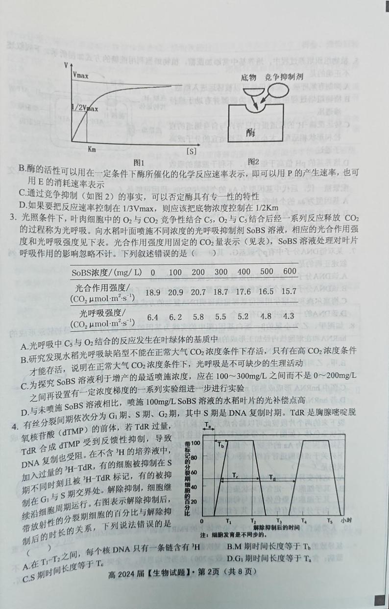 重庆市名校联盟2023-2024学年高三下学期第一次联考生物试题第2页