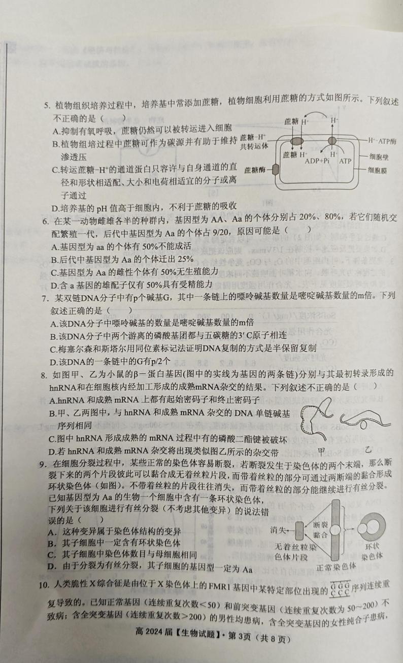 重庆市名校联盟2023-2024学年高三下学期第一次联考生物试题第3页