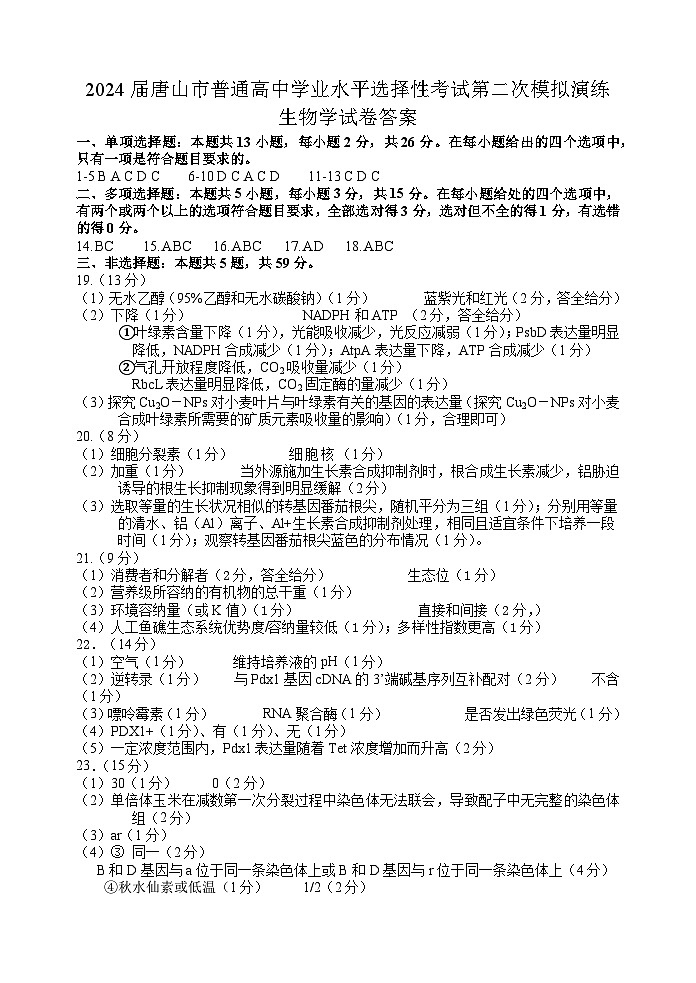 参考答案第1页