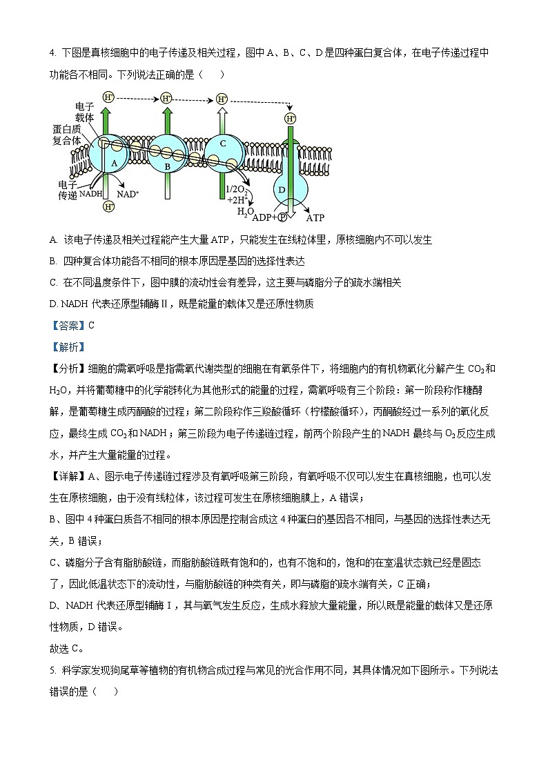 湖北省恩施州高中教育联盟2023-2024学年高二下学期期中联考生物试题含解析第3页