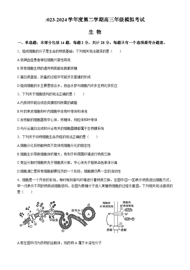 江苏省南通市海安高级中学2024届高三下学期第二次模拟考试生物试题（Word版附答案）01