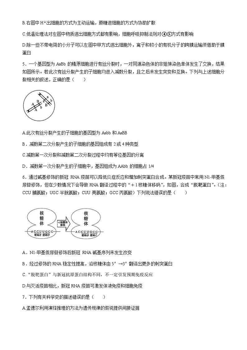 江苏省南通市海安高级中学2024届高三下学期第二次模拟考试生物试题（Word版附答案）02
