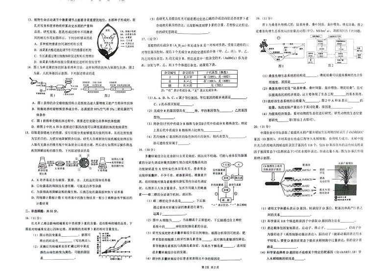 重庆市渝西中学2024届高三下学期5月月考生物试题（PDF版附解析）第2页
