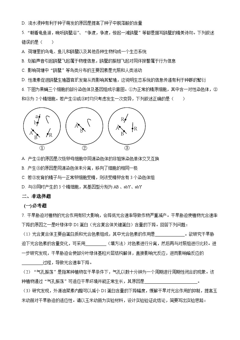 2024届宁夏回族自治区石嘴山市平罗中学高三下学期三模生物试题（原卷版+解析版）02