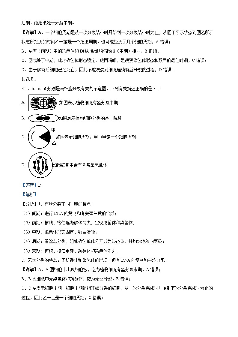 安徽省蚌埠市皖北私立联考（禹泽、汉兴）2023-2024学年高一下学期4月期中生物试题（解析版）第2页