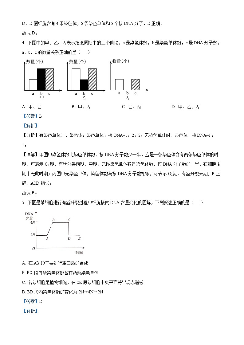 安徽省蚌埠市皖北私立联考（禹泽、汉兴）2023-2024学年高一下学期4月期中生物试题（解析版）第3页