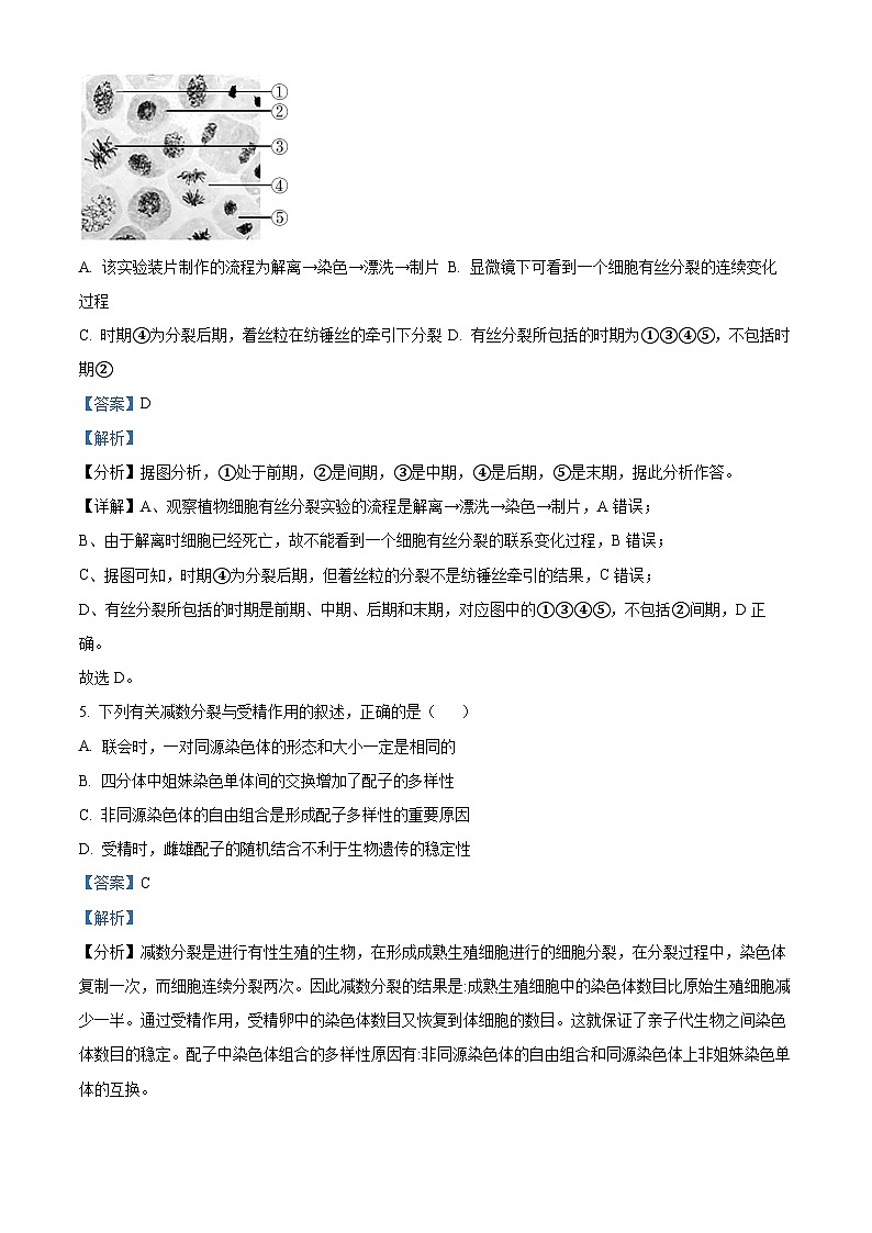 广东省普宁市普师高级中学2023-2024学年高一下学期期中考试生物试题（原卷版+解析版）03