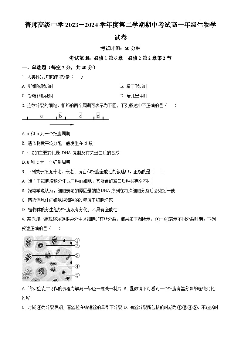 广东省普宁市普师高级中学2023-2024学年高一下学期期中考试生物试题（原卷版+解析版）01