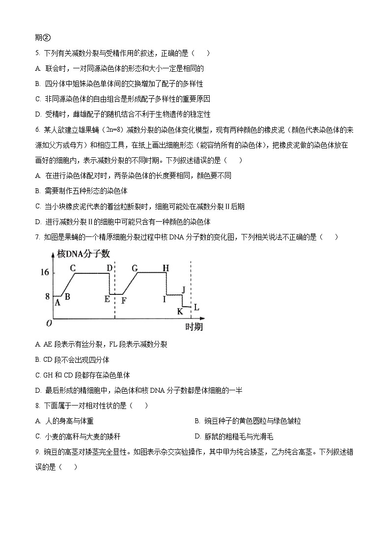 广东省普宁市普师高级中学2023-2024学年高一下学期期中考试生物试题（原卷版+解析版）02