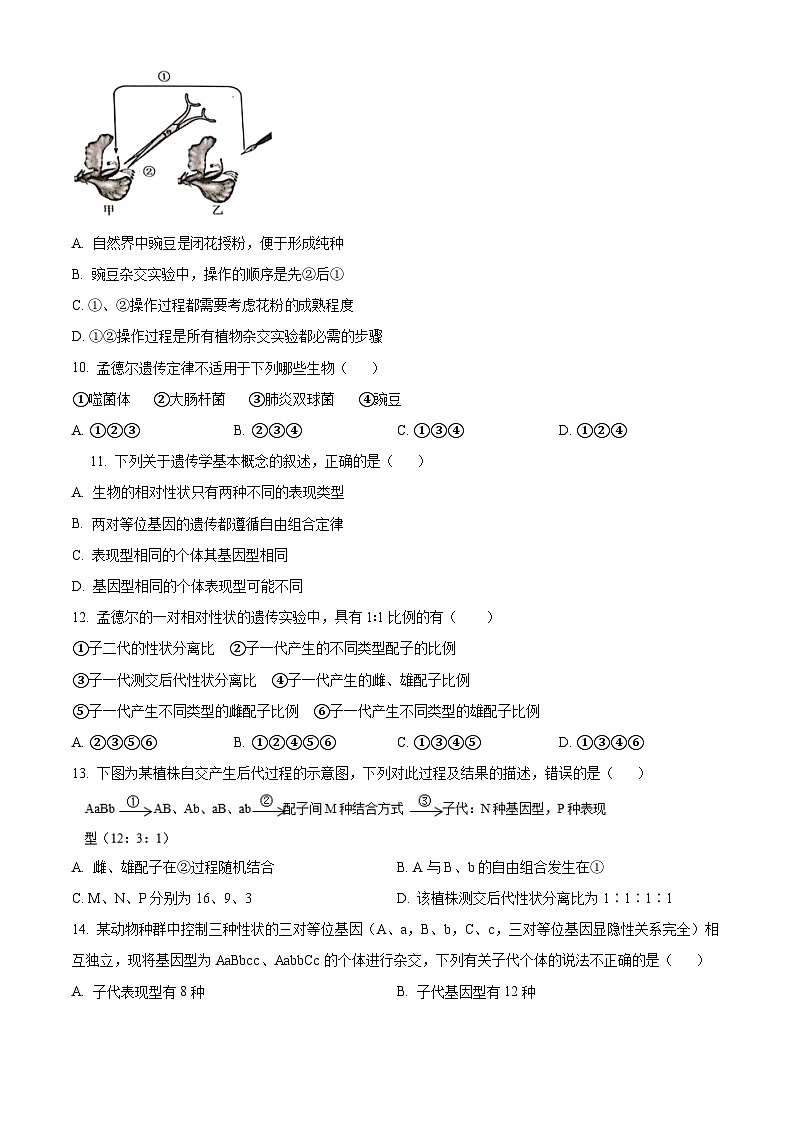 广东省普宁市普师高级中学2023-2024学年高一下学期期中考试生物试题（原卷版+解析版）03