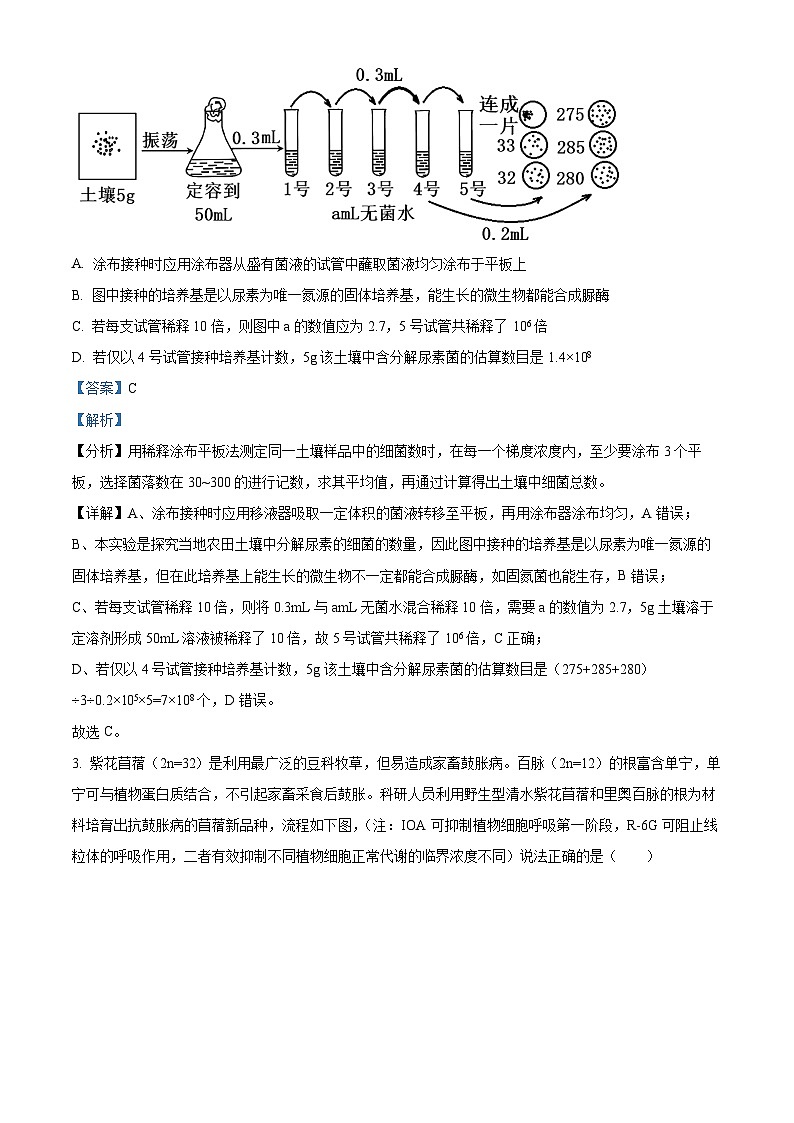 江苏省扬州市宝应县2023-2024学年高二下学期期中检测生物试题（原卷版+解析版）02