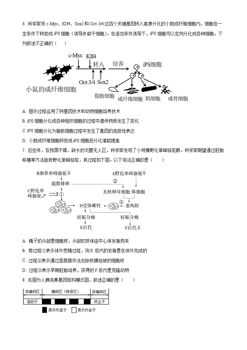 江苏省扬州市宝应县2023-2024学年高二下学期期中检测生物试题（原卷版+解析版）03