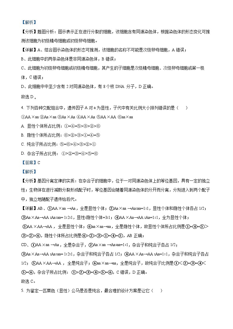 （教研室）江苏省扬州市宝应县2023-2024学年高一下学期期中检测生物试题（解析版）第3页