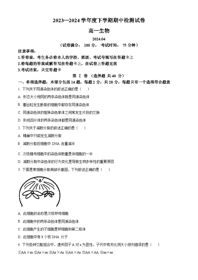 （教研室）江苏省扬州市宝应县2023-2024学年高一下学期期中检测生物试题（原卷版）第1页