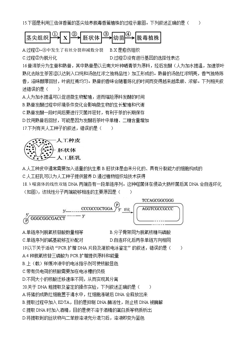 浙江省台州十校联盟2023-2024学年高二下学期4月期中考试生物试卷（Word版附答案）03