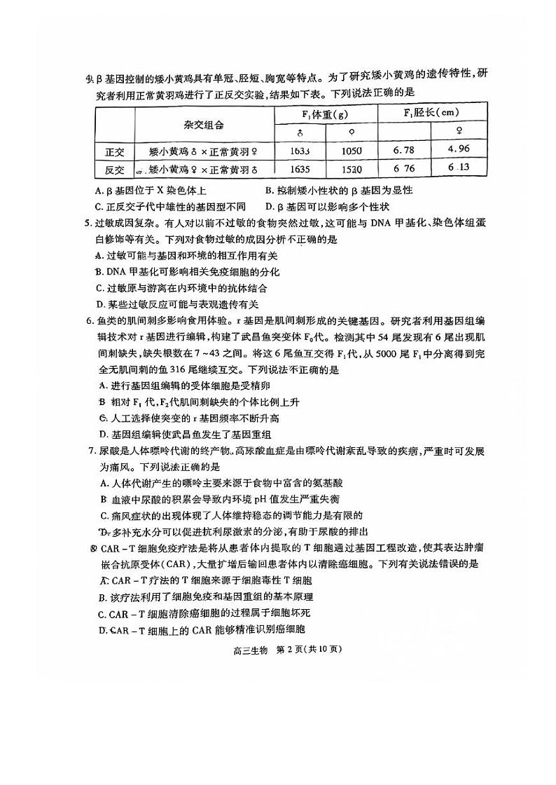 2024届北京市丰台区高三二模综合练习（二）生物试题+答案第2页