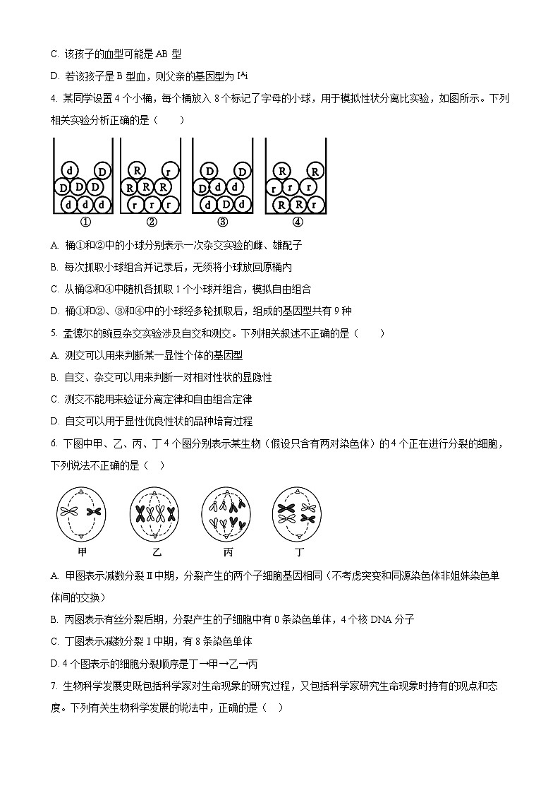 广东省惠州市惠城区惠州中学2023-2024学年高一下学期4月期中生物试题（原卷版+解析版）02