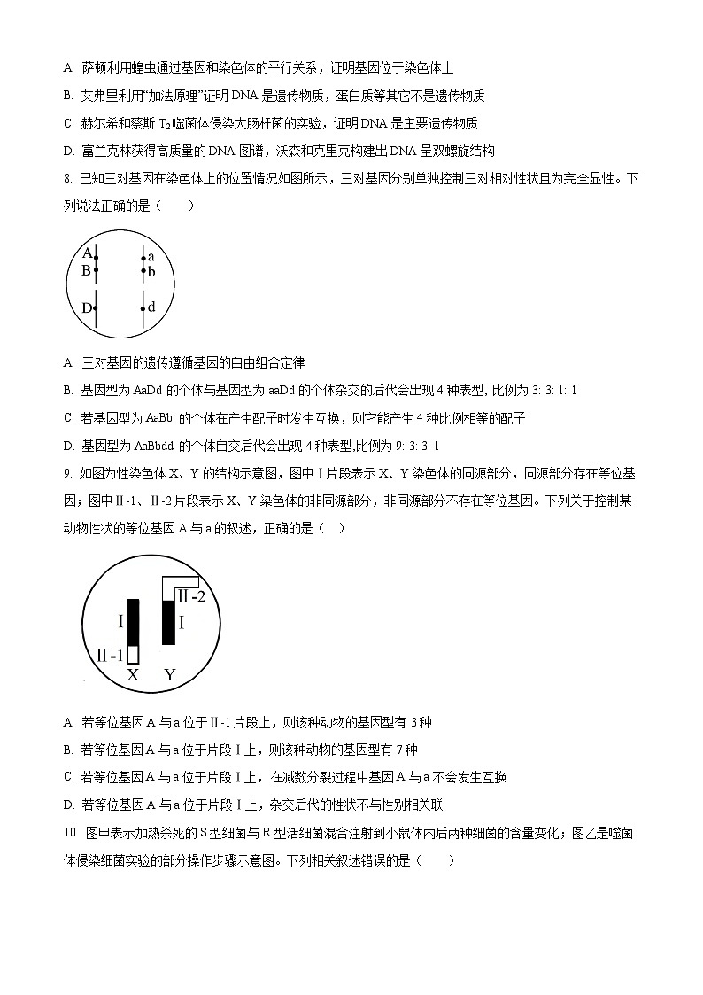 广东省惠州市惠城区惠州中学2023-2024学年高一下学期4月期中生物试题（原卷版+解析版）03