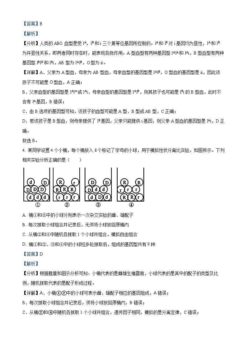 广东省惠州市惠城区惠州中学2023-2024学年高一下学期4月期中生物试题（原卷版+解析版）03