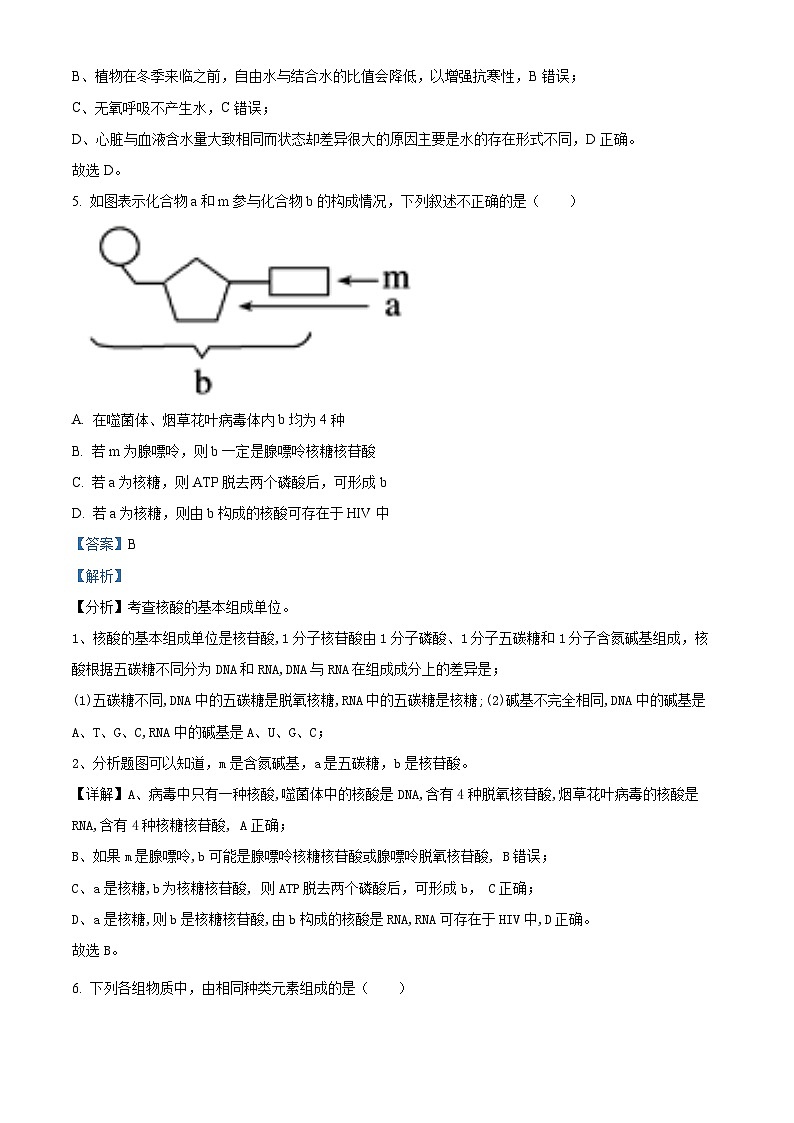 湖南省衡阳市耒阳市正源学校2023-2024学年高一下学期4月月考生物试题（解析版）第3页
