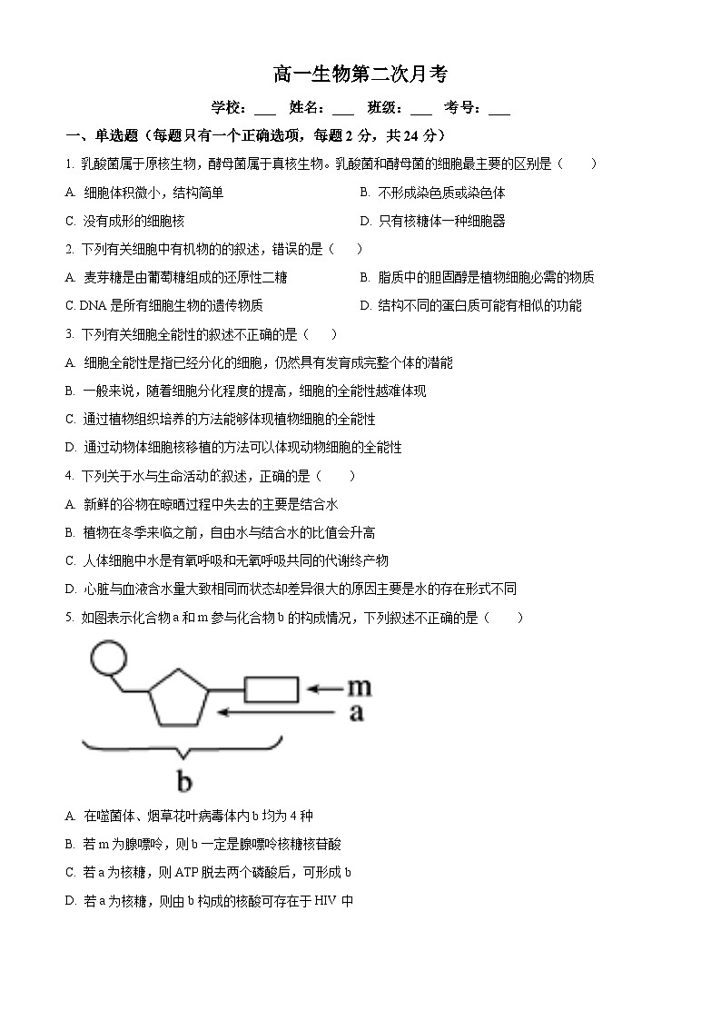 湖南省衡阳市耒阳市正源学校2023-2024学年高一下学期4月月考生物试题（原卷版）第1页
