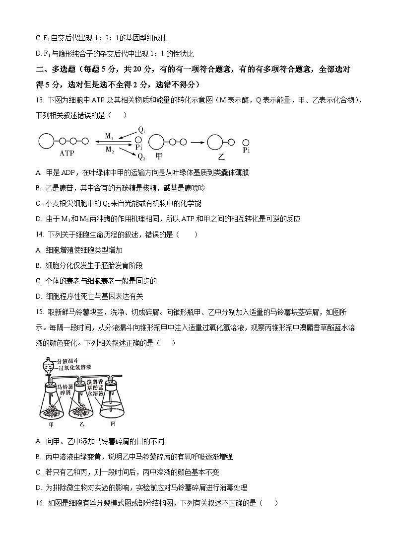 湖南省衡阳市耒阳市正源学校2023-2024学年高一下学期4月月考生物试题（原卷版）第3页