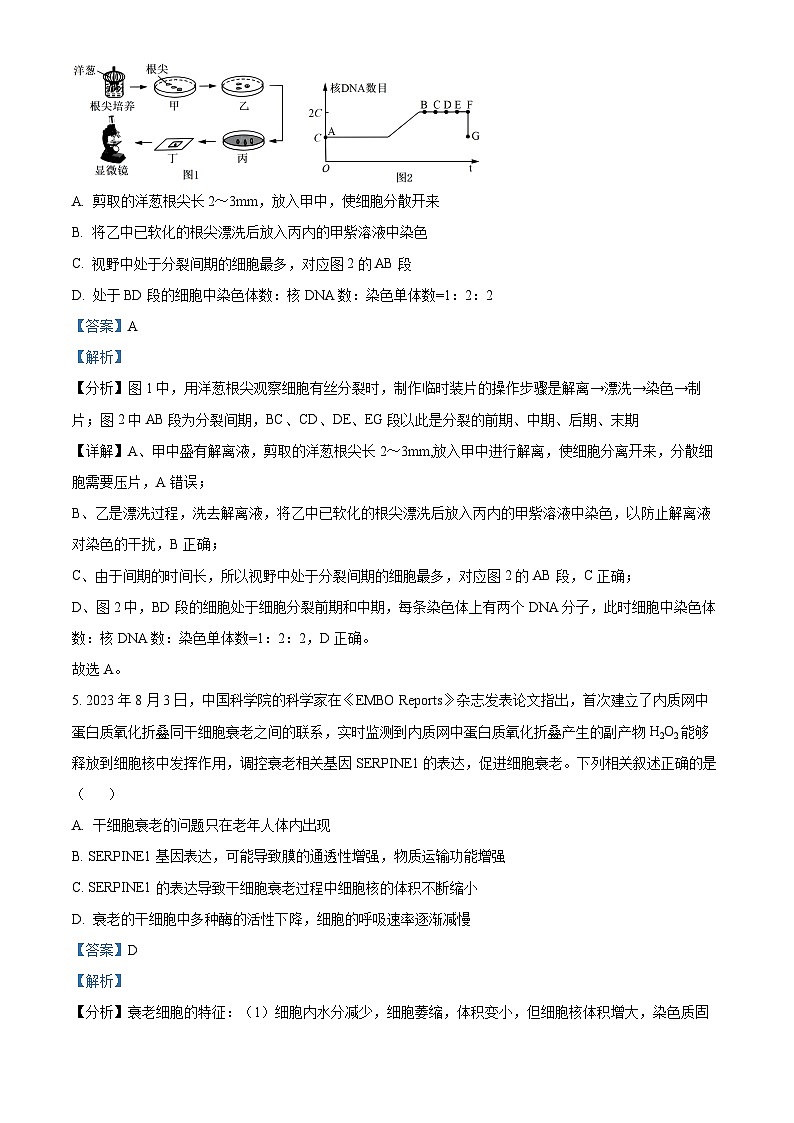 广东省广州大学附属中学等三校2023—2024学年高一下学期期中考试生物试题（解析版）第3页