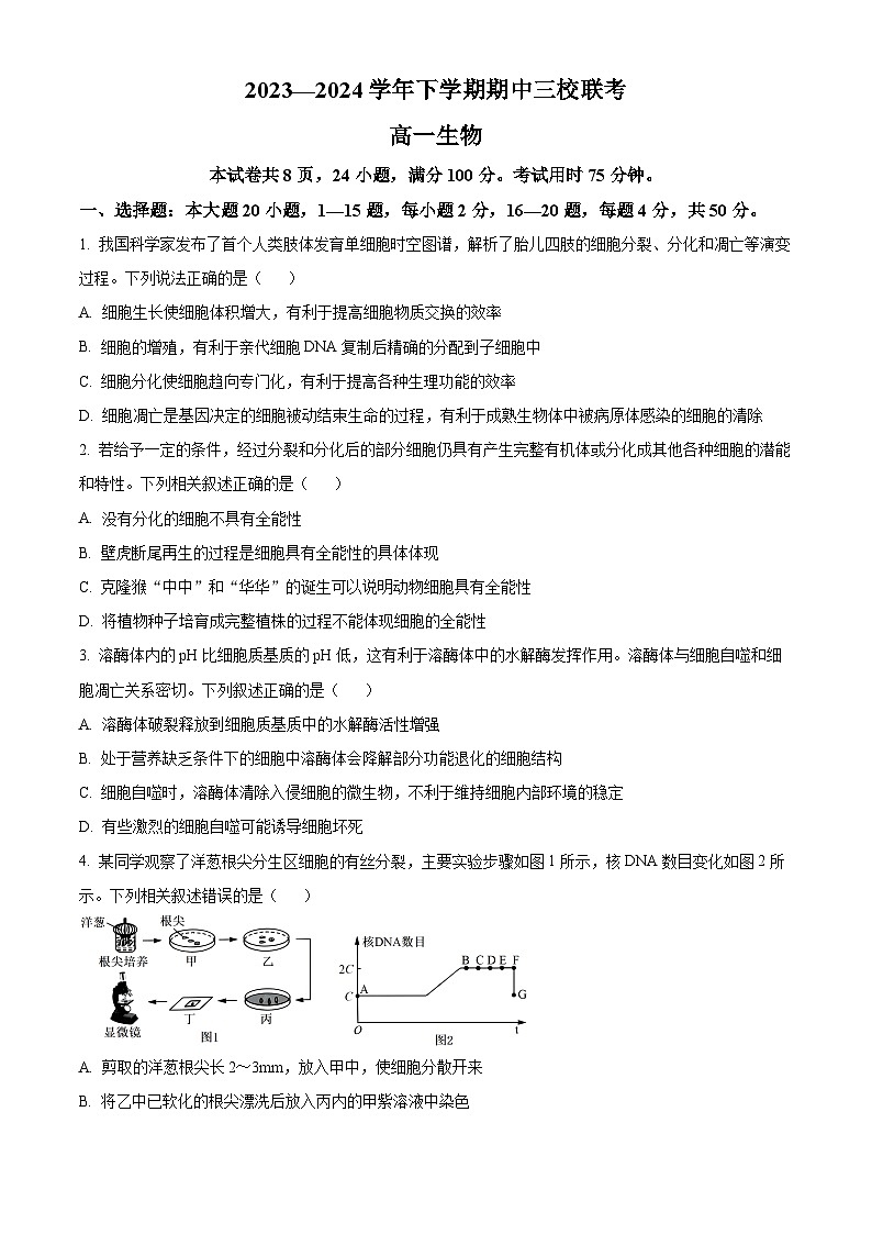 广东省广州大学附属中学等三校2023—2024学年高一下学期期中考试生物试题（原卷版）第1页