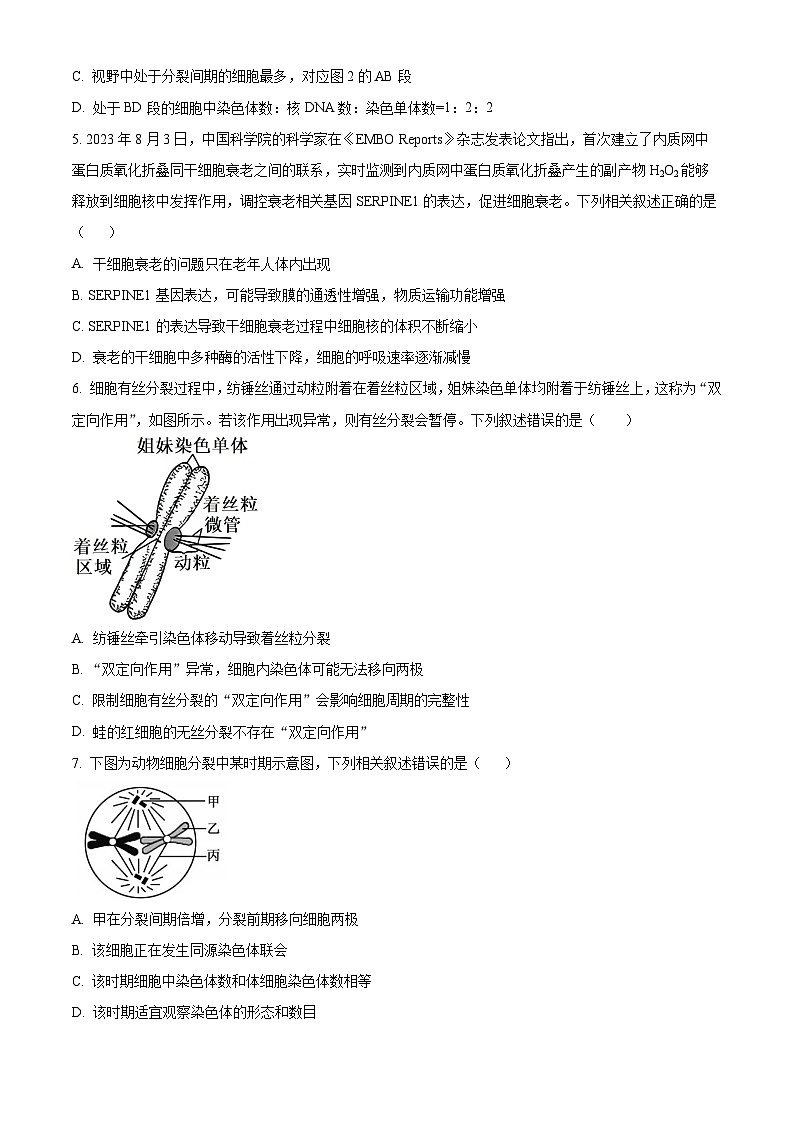 广东省广州大学附属中学等三校2023—2024学年高一下学期期中考试生物试题（原卷版）第2页