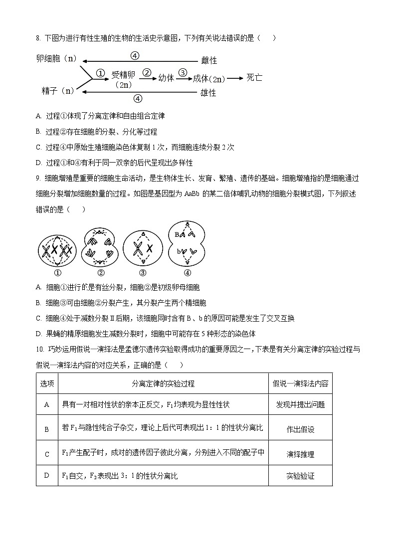 广东省广州大学附属中学等三校2023—2024学年高一下学期期中考试生物试题（原卷版）第3页